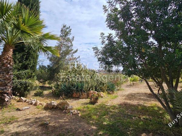 4 bedroom detached house for sale agioi trimithias nicosia 1152537 image 5157150