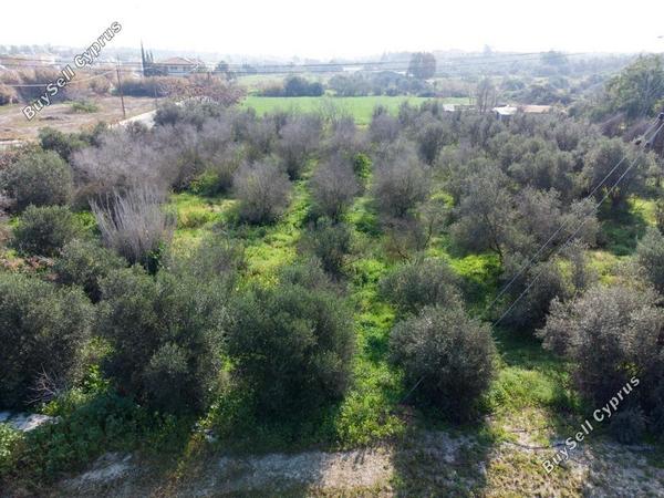land for sale ormideia larnaca 7816537 image 10652916