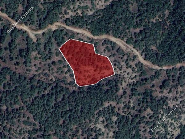 land for sale pera pedi limassol 1744537 image 15597809