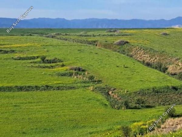 land for sale peristerona lefkosias nicosia 8244537 image 13833577