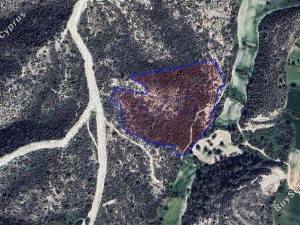 land for sale tochni larnaca 8698537 image 16205385