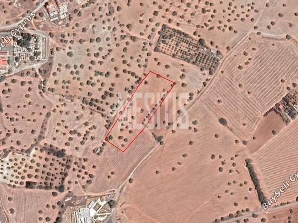 plot for sale mazotos larnaca 1824537 image 12887352