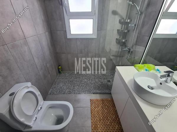 1 bedroom apartment for rent agios andreas nicosia nicosia 8509637 image 16340334