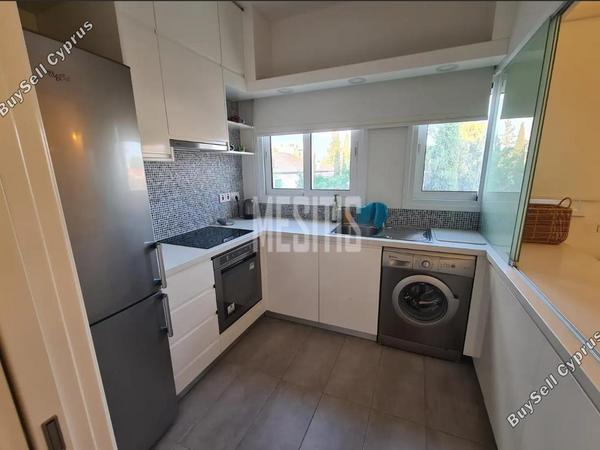 1 bedroom apartment for rent agios andreas nicosia nicosia 8509637 image 16340337