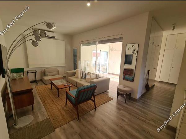 1 bedroom apartment for rent agios andreas nicosia nicosia 8509637 image 16340338