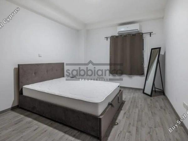 2 bedroom apartment for rent dasoupoli nicosia 8749637 image 16477577