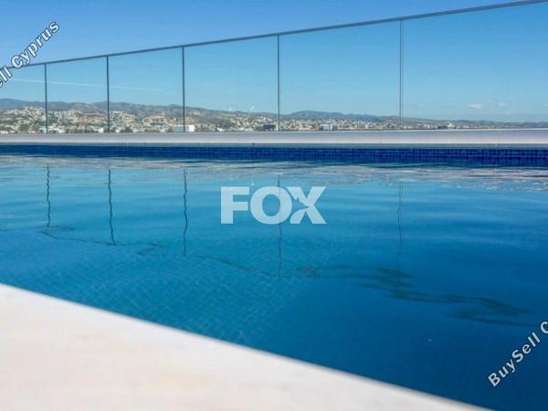 2 bedroom apartment for rent kato polemidia limassol 8531637 image 15539193