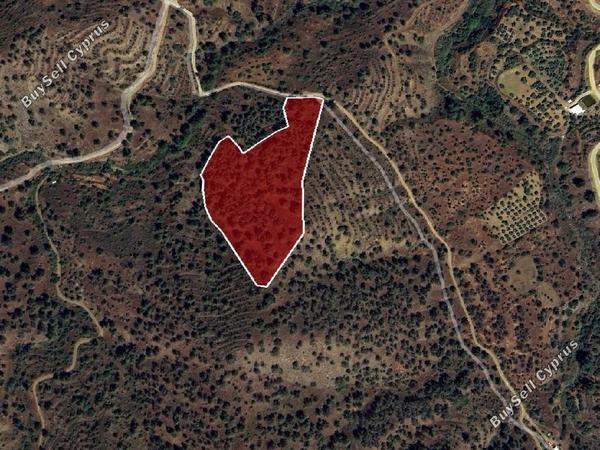 land for sale agios theodoros soleas nicosia 7609637 image 9774974