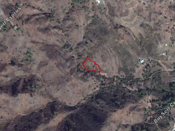 land for sale pigenia nicosia 829637 image 15257452