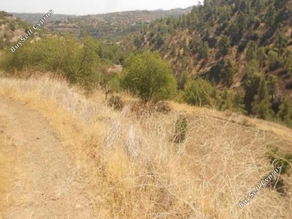 land for sale xyliatos nicosia 1380637 image 10229690