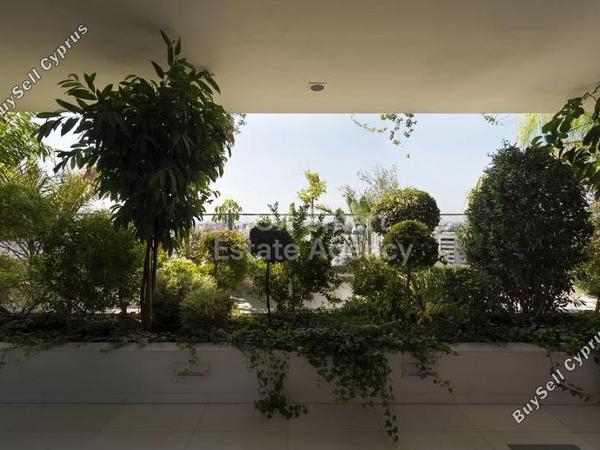 studio office for rent kaimakli nicosia 1862637 image 12691209