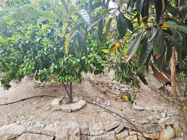 2 bedroom bungalow for sale tala paphos 1787737 image 5432131
