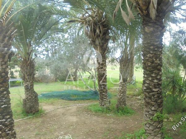 5 bedroom detached house for sale paralimni famagusta 8151737 image 15905154