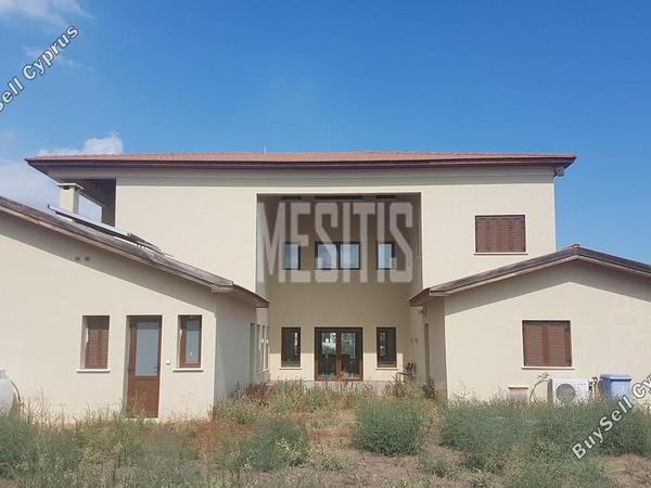 5 bedroom detached house for sale nisou nicosia 1796837 image 10534842