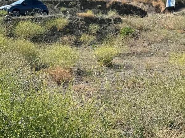 plot for sale arakapas limassol 7546837 image 14984322