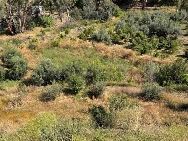 plot for sale arakapas limassol 7546837 image 14984323