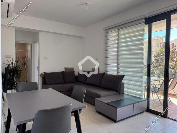 1 bedroom apartment for rent mackenzie larnaca 8797937 image 16708951
