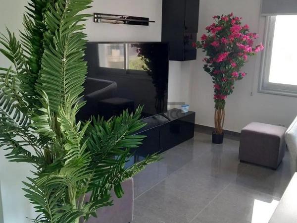 3 bedroom apartment for rent limassol municipality limassol 8752937 image 16506322