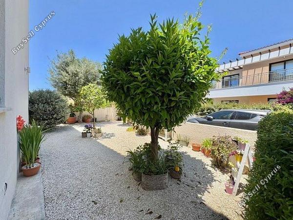 3 bedroom detached house for sale peyia paphos 1898937 image 14226402