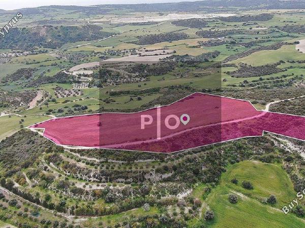 land for sale alaminos larnaca 8274937 image 15156426