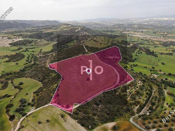 land for sale alaminos larnaca 8274937 image 15156428