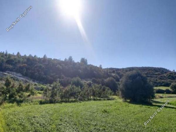 land for sale kalavasos larnaca 992937 image 938487