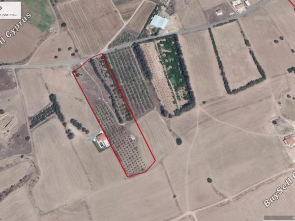 land for sale kouklia pafou paphos 7739937 image 12376280