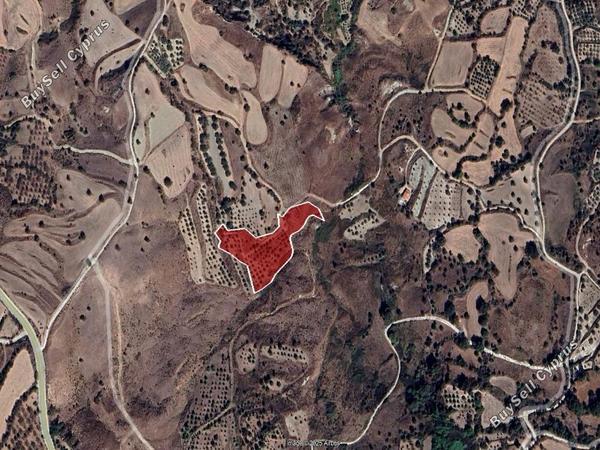land for sale lasa paphos 7740937 image 15596451