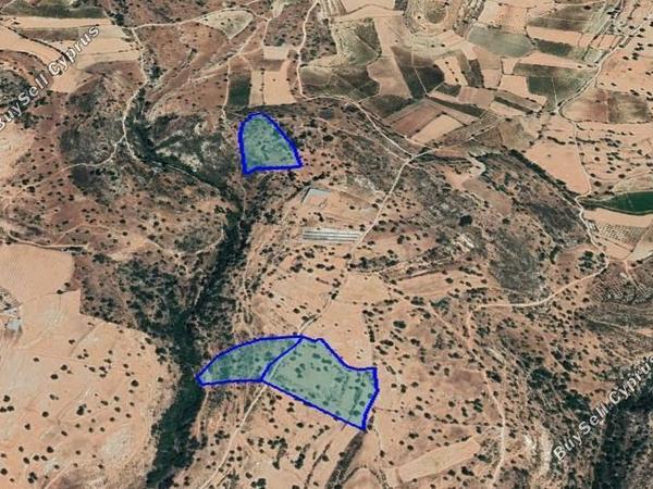 land for sale pachna limassol 1547937 image 5889096