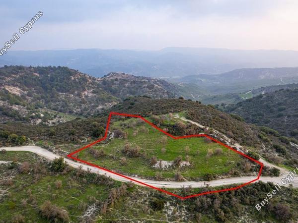land for sale salamiou paphos 839937 image 7332494