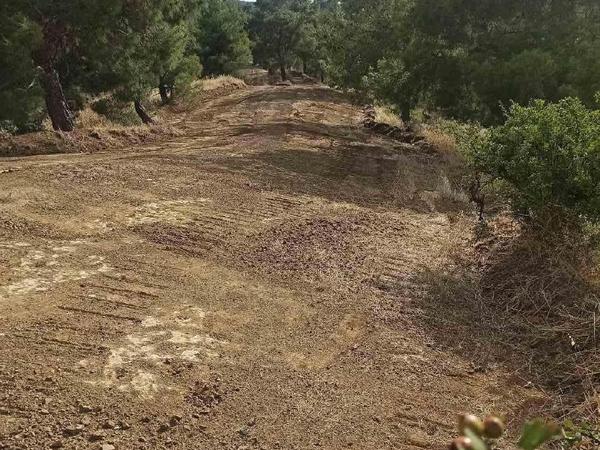land for sale xyliatos nicosia 1061937 image 16186122