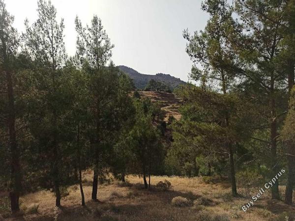 land for sale xyliatos nicosia 1061937 image 16186123
