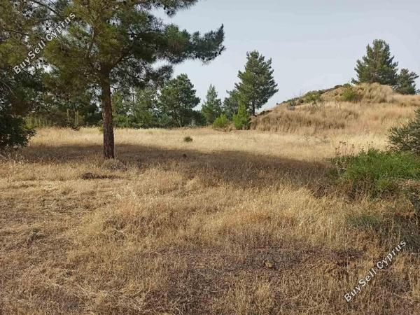 land for sale xyliatos nicosia 1061937 image 16186124