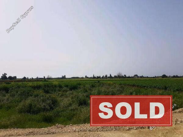 land sold liopetri famagusta 917937 image 800590