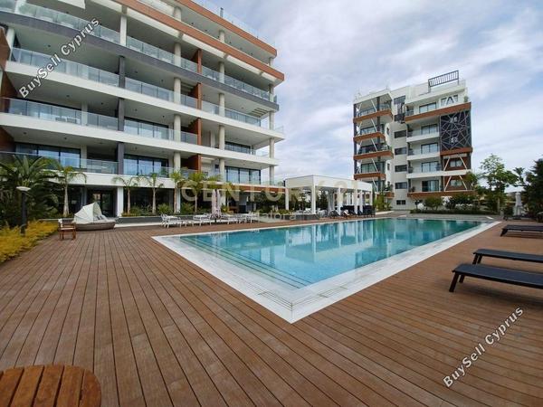 2 bedroom apartment for rent potamos germasogeias limassol 1702047 image 16399697