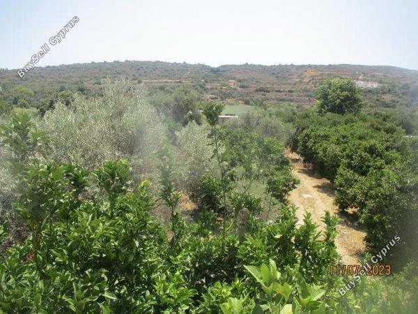 3 bedroom bungalow for sale goudi paphos 1616047 image 5582179