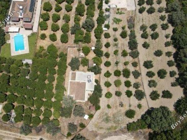 3 bedroom bungalow for sale goudi paphos 1616047 image 5582187