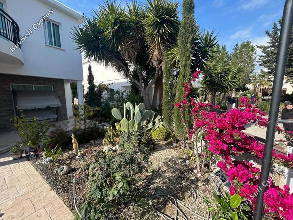 4 bedroom detached house for sale kato paphos paphos 8395047 image 16535051