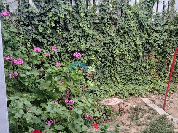 4 bedroom detached house for sale strovolos nicosia 7838047 image 10760955