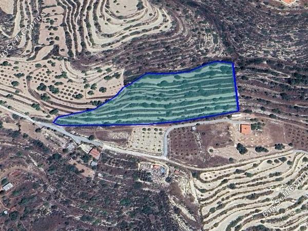 land for sale apesia limassol 1546047 image 9276416