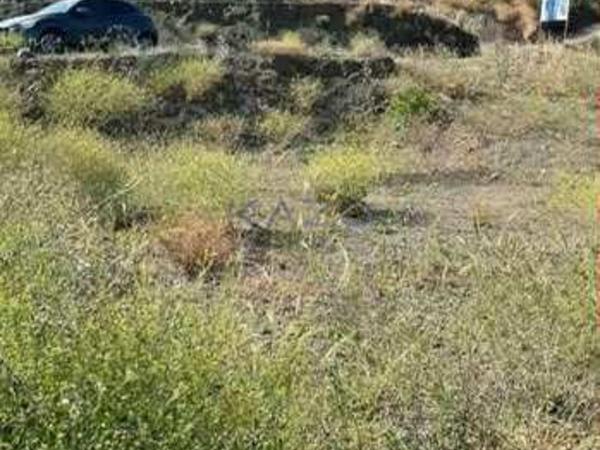 land for sale arakapas limassol 7751047 image 14981393