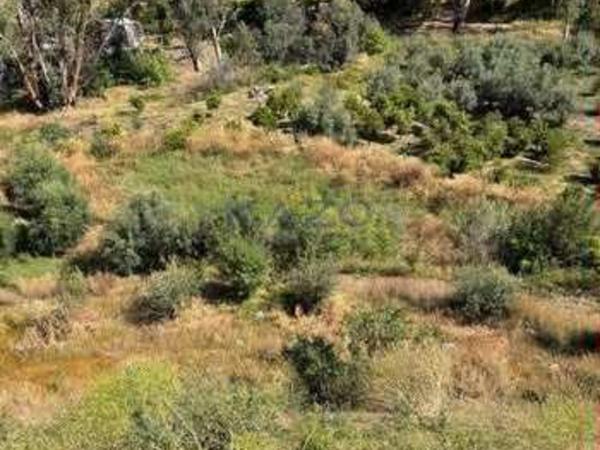land for sale arakapas limassol 7751047 image 14981395