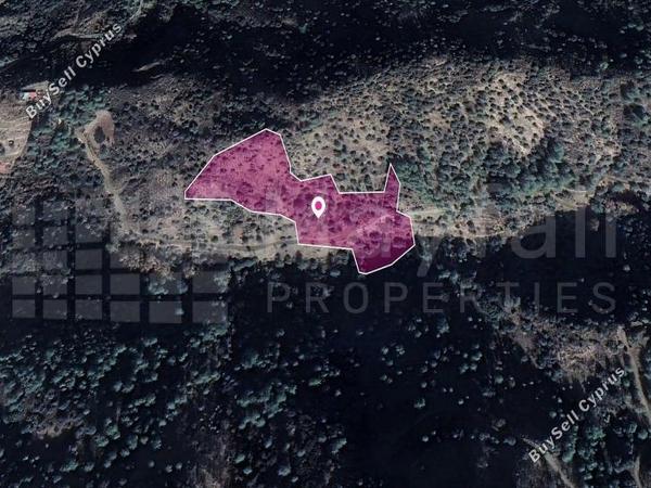 land for sale kaminaria limassol 7872047 image 11383960