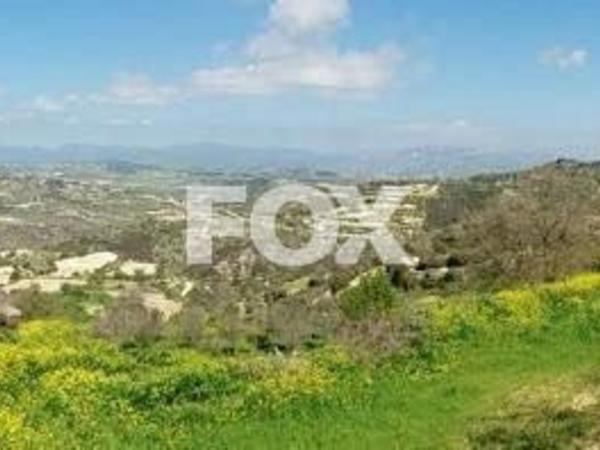 land for sale koili paphos 1565047 image 5641559