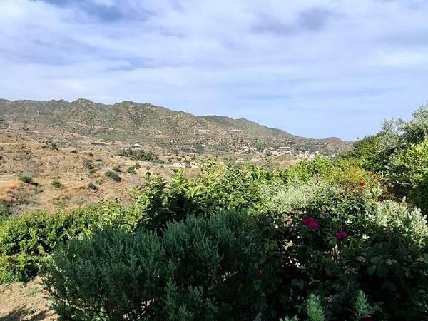 2 bedroom detached house for sale ora larnaca 1910147 image 16130383