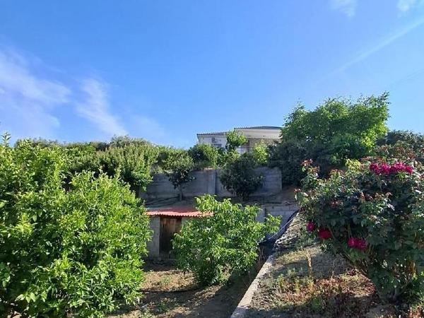 2 bedroom detached house for sale ora larnaca 1910147 image 16130388