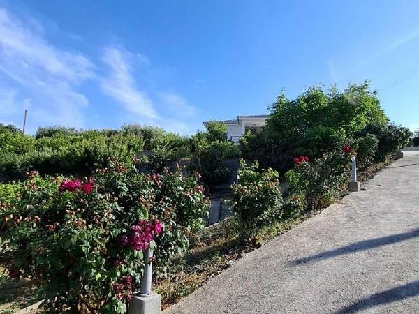2 bedroom detached house for sale ora larnaca 1910147 image 16130389