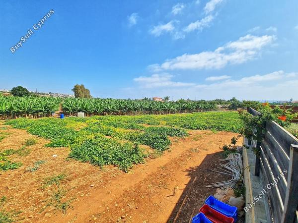 3 bedroom detached house for sale sea caves peyia paphos 1008147 image 1324856