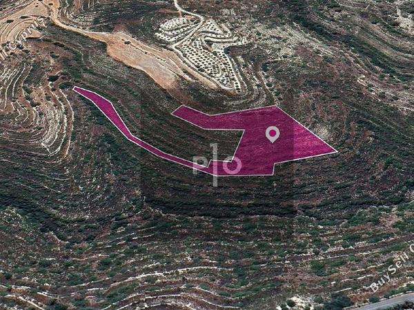 land for sale agios therapon limassol 8275147 image 15157915