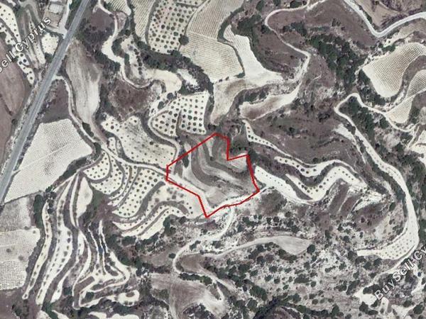 land for sale kallepeia paphos 828147 image 15177883